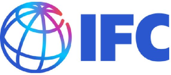 Company Logo 8