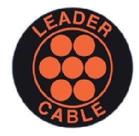 Company Logo 10