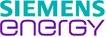 Company Logo 10